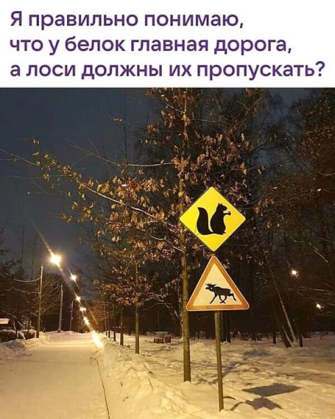 Пятница. Вечер. Картинки всякие... #3