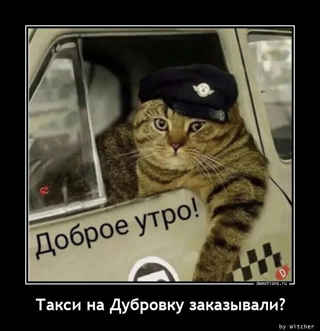 Подборка картинок с надписями 23.06.22