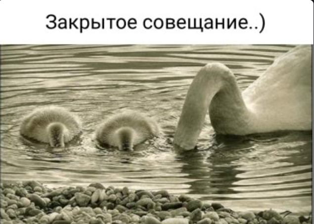 Картинки и мемы. Выходные близко...