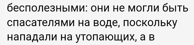 Вымершие породы собак: каких псов уже не существует