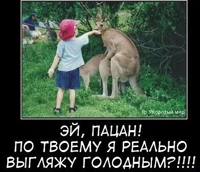 Юмор в картинках и без 12.04