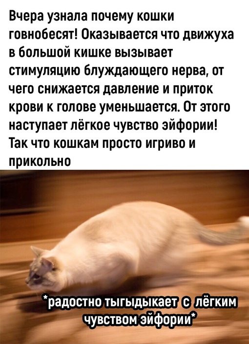 Так себе картинки 31.03.24