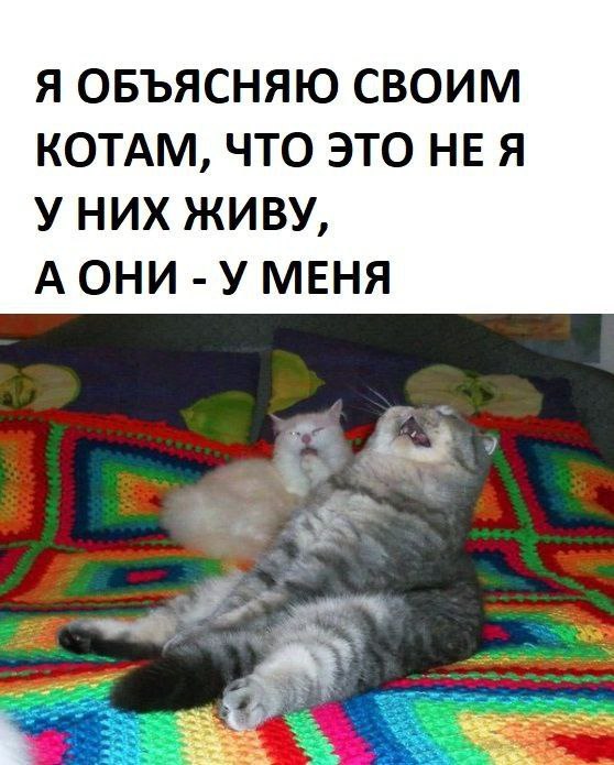 Веселые картинки к пятнице (07.06)