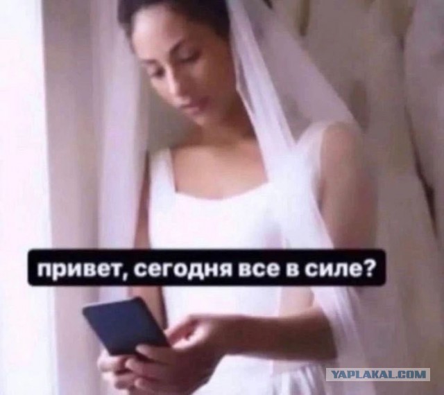 Немного забавных картинок от 19.01.2025