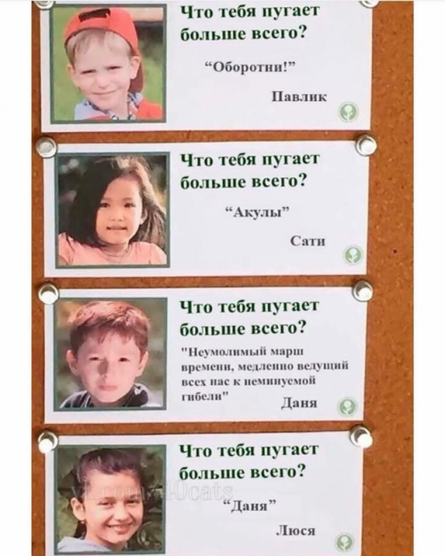 Так себе картинки 23.02.25