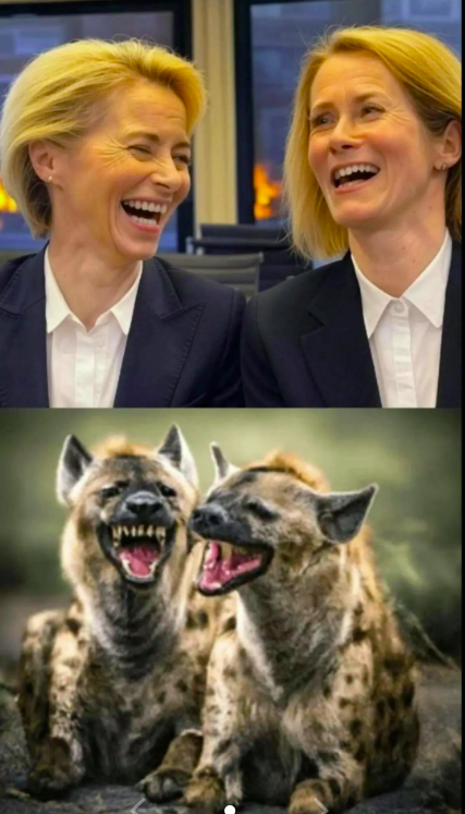 Хороший фотограф….