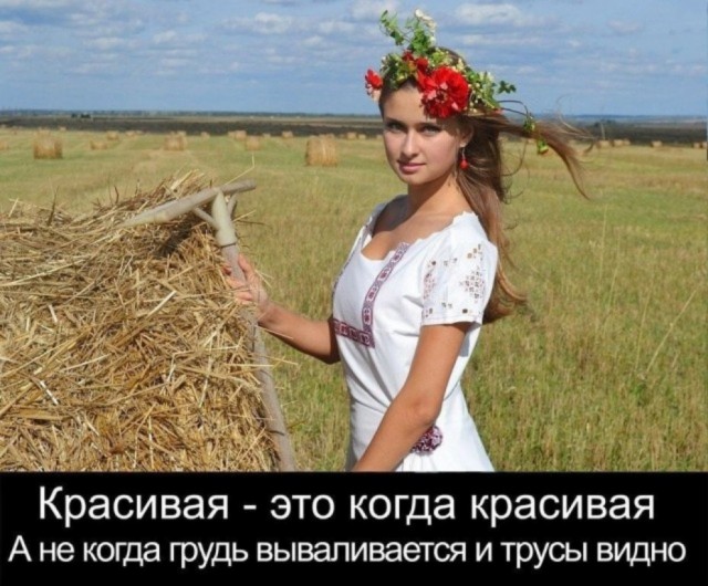 Так себе картинки 04.05.25