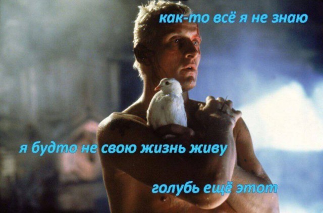Деградильня