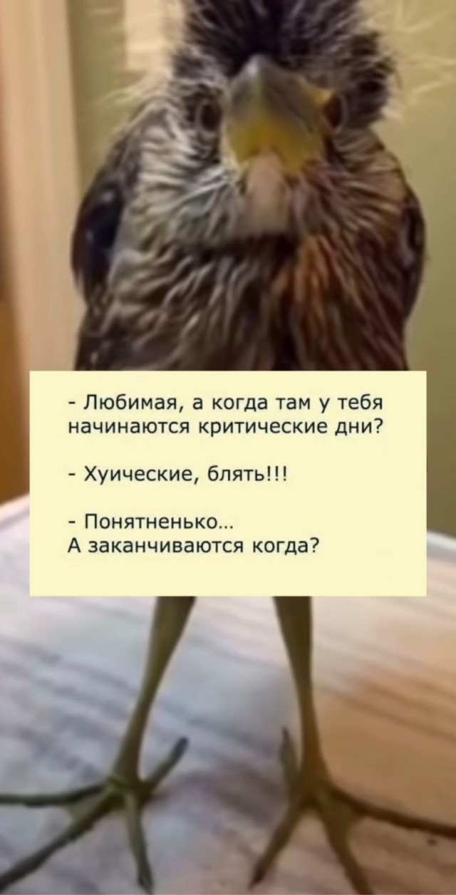 Пятничные бояны