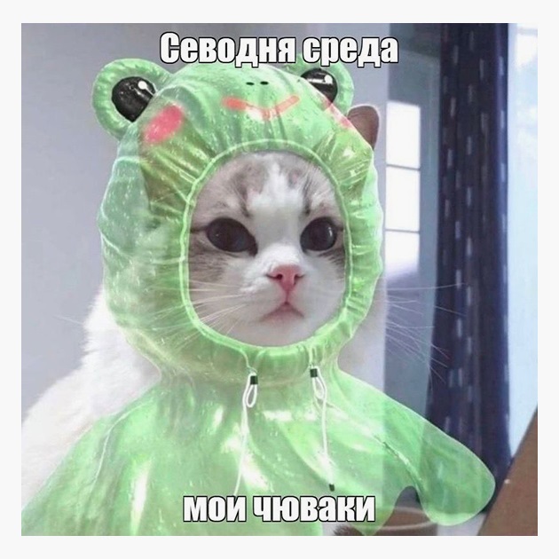 Среда