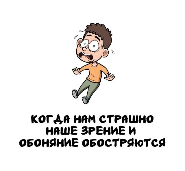 Интересные и короткие факты на все случаи жизни 05.01.26