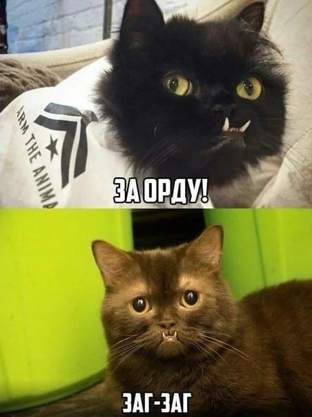 Сегодня день домового