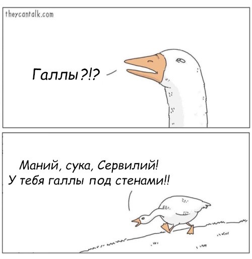 Котогусь