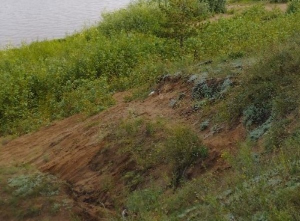 Нашёл камень, похожий на моляр мамонта
