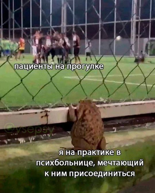 Психомемы-14