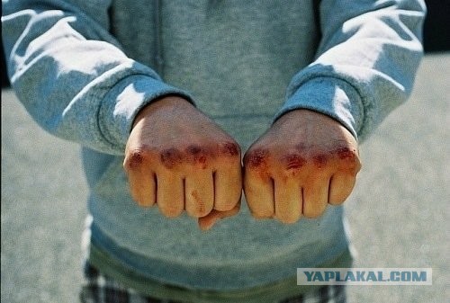 Якутия: хапсагай и страсти вокруг парома