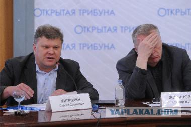 Митрохин обвинил Жириновского в экстремизме