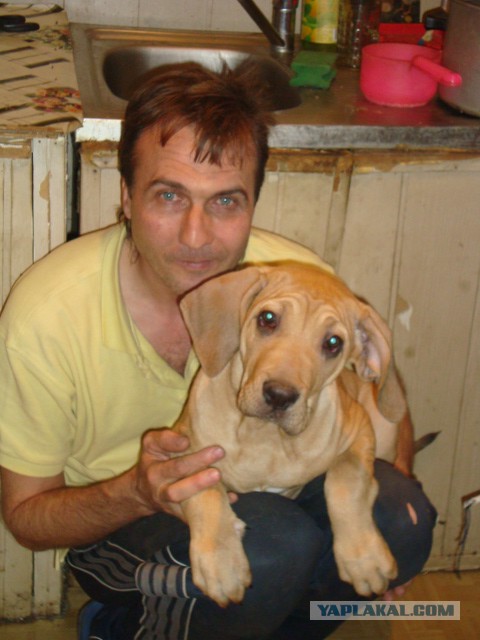 Как мы собаку внезапно завели