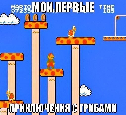 Грибы России