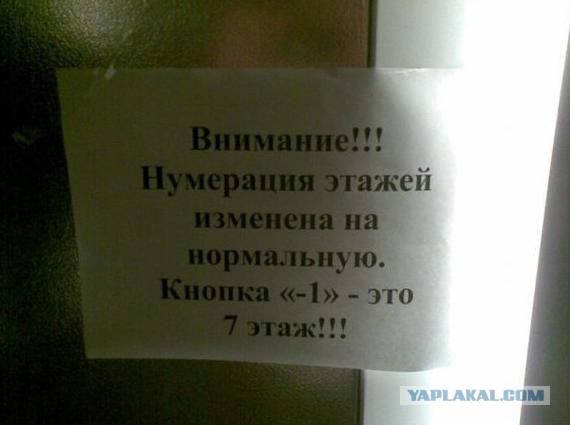 Картинки, объявления - 2