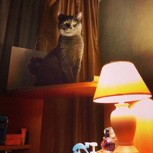 Главное - сосать правильно.