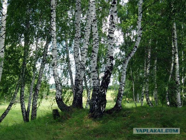 Красивый клип про Россию