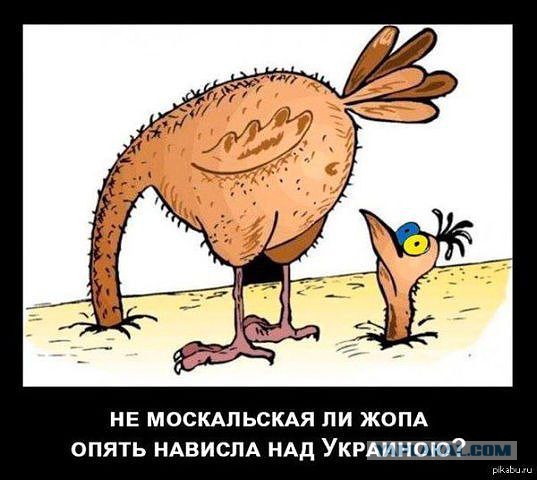 Поднимаем настроение