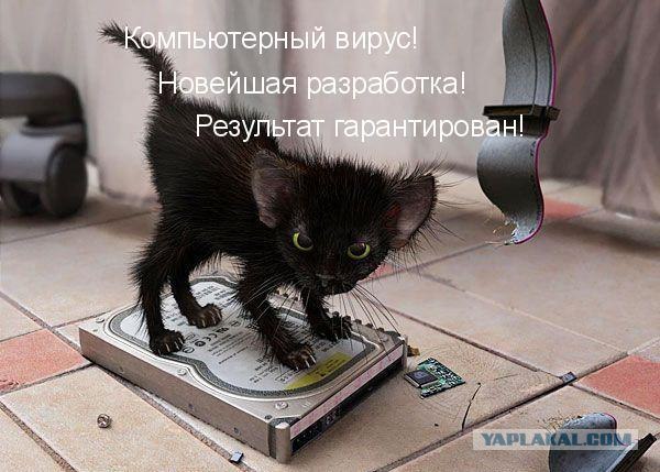 Случай дома