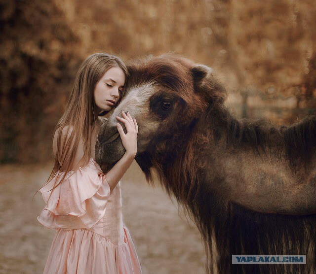 Девушки с дикими животными