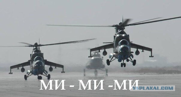 Веселые картинки