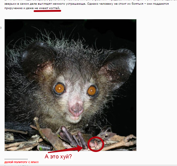 На лицо ужасные, добрые внутри