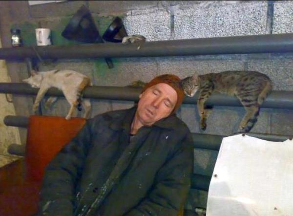 Веселости на пятницу