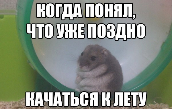 Картинки из сети