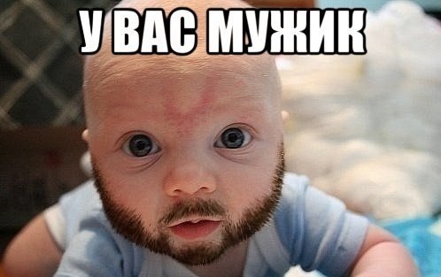 Борода. Перепись бород Япа.