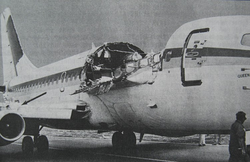Лишь версия крушения А-321 в Египте