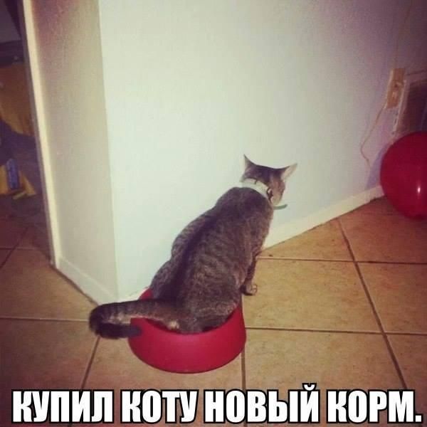 Картинки и приколы из соц.сетей и интернета