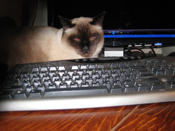 Картинки и прочее