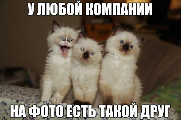 Забавные картинки из Сети