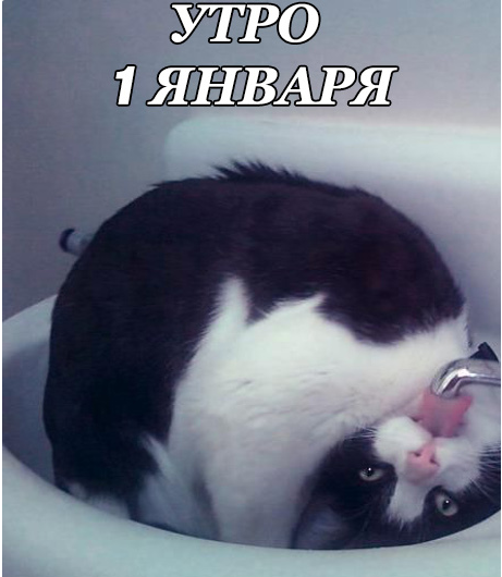 Кто как похмеляется?