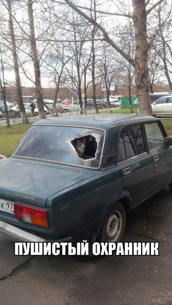 Отовсюду понемногу