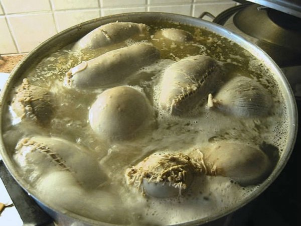 Исландская национальная кухня