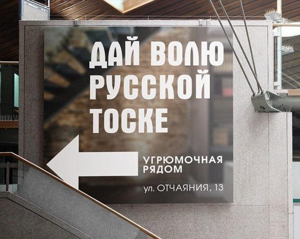 40 улыбательных картинок
