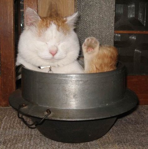 Народный котомет на фторинег