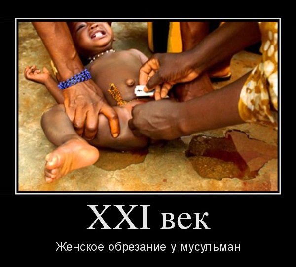 Ортодоксальные евреи. 20 фото и текст.