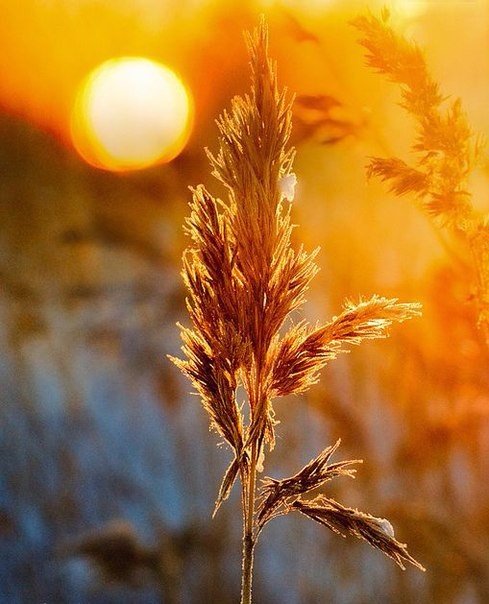 Картинки для отдыха глаз