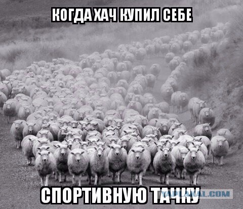 Это Кавказ, детка!