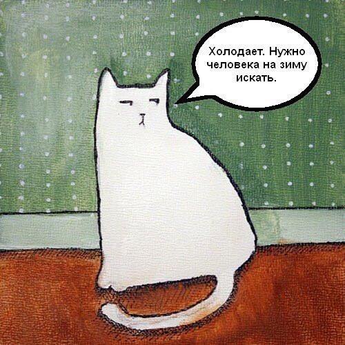 Картинки и приколы из сети