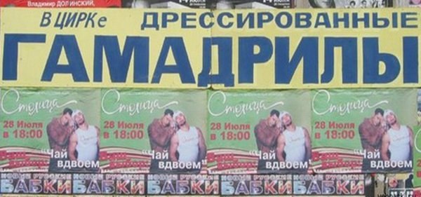 Подборка интересных и веселых картинок