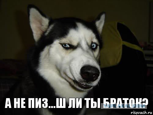 Выкладывайте свои подарки!