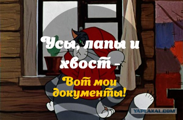 С 2018 года в России будет создана единая система идентификации домашних и сельскохозяйственных животных.